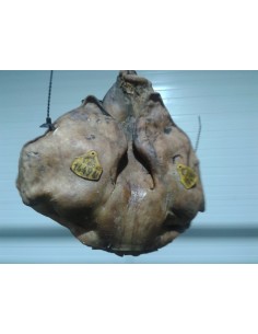 Cabeza Celta curada...